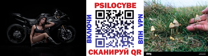 Галлюциногенные грибы Psilocybe  Нижняя Салда 