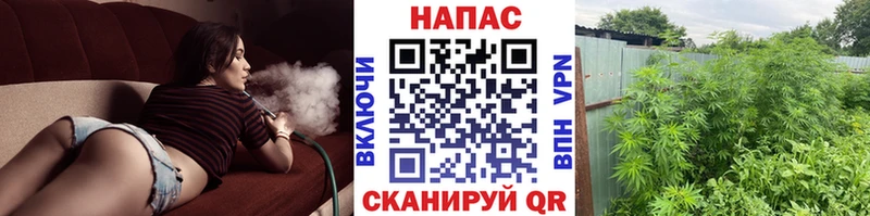omg как войти  дарнет шоп  Нижняя Салда  Каннабис индика 